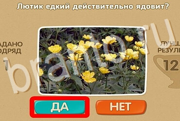 Проверь себя игра ответы Уровень 3923