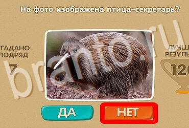 ответы на игру в одноклассниках Проверь себя Уровень 3936