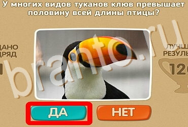 решебник на игру Проверь себя Уровень 3941