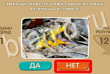 Проверь себя игра ответы Уровень 3943