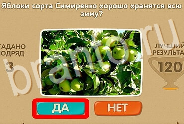 Проверь себя решения Уровень 3952