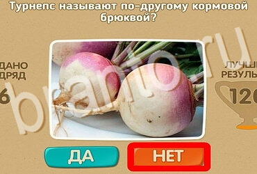 Проверь себя игра помощь Уровень 3955