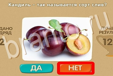 Игра Проверь себя подсказки Уровень 3958