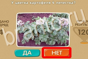 игра Проверь себя ответ на Уровень 3960