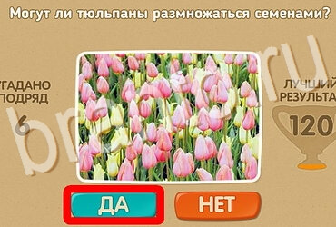 Подсказки на игру Проверь себя Уровень 3962