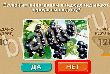 ответы на игру в одноклассниках Проверь себя Уровень 3966