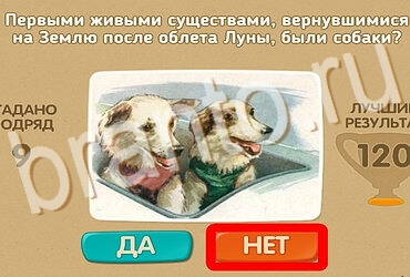 Проверь себя ответы в картинках Уровень 3976