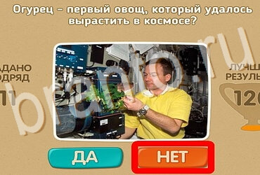 Игра Проверь себя подсказки Уровень 3978