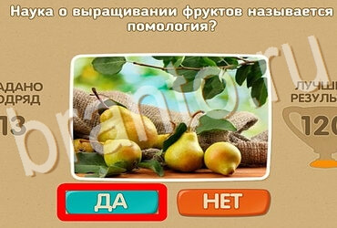 игра Проверь себя ответ на Уровень 3980