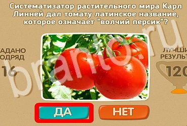 Проверь себя игра ответы Уровень 3983