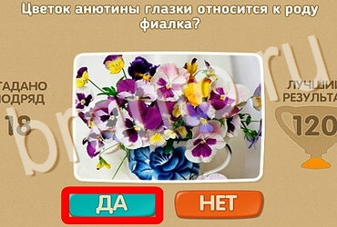 Проверь себя игра помощь Уровень 3985