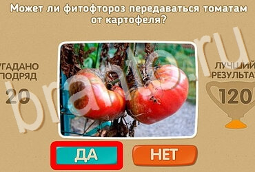 Игра Проверь себя ответы Уровень 3987