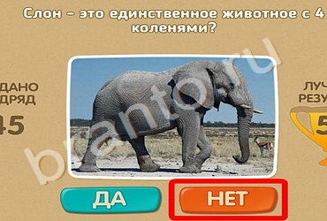 Проверь себя ответы в картинках Уровень 416