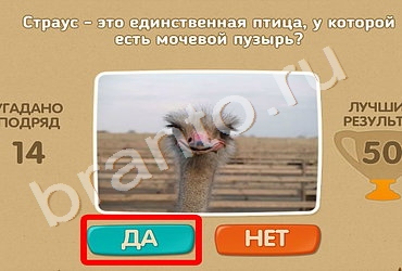 Проверь себя игра ответы Уровень 443