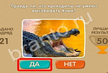 игра Проверь себя ответ на Уровень 450