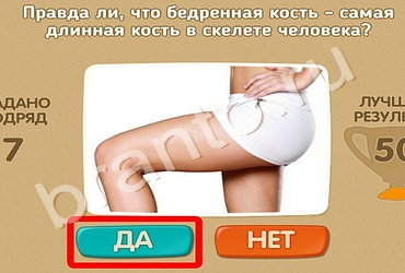 Игра Проверь себя ответы Уровень 477