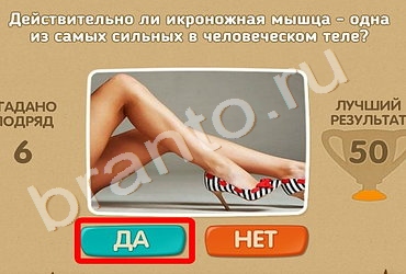 игра Проверь себя ответ на Уровень 580
