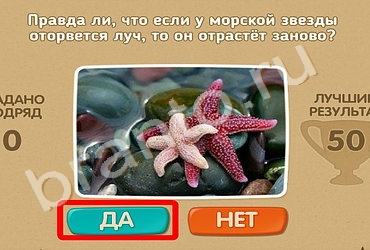 решебник на игру Проверь себя Уровень 581