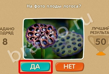игра Проверь себя помощь Уровень 589