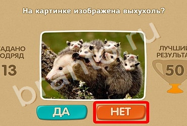 Проверь себя игра подсказки Уровень 594