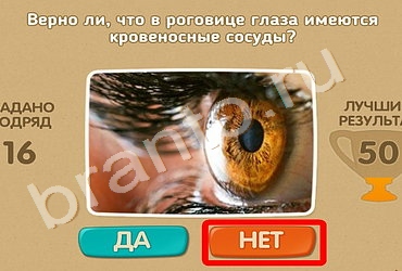 Игра Проверь себя ответы Уровень 597