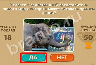 игра Проверь себя помощь Уровень 599