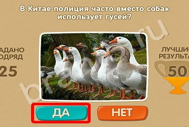 ответы на игру в одноклассниках Проверь себя Уровень 606