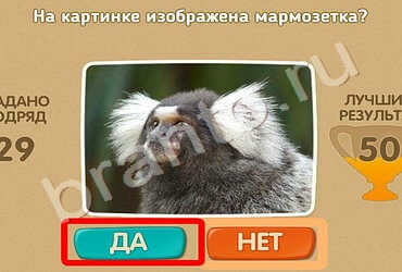 игра Проверь себя ответ на Уровень 610