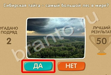 Проверь себя игра ответы Уровень 613