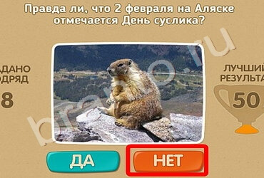 игра Проверь себя помощь Уровень 619