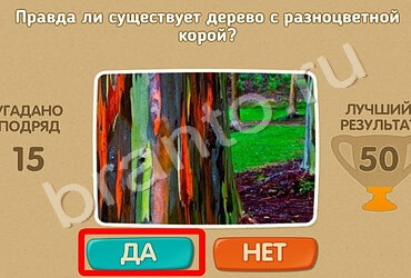 Проверь себя ответы в картинках Уровень 626