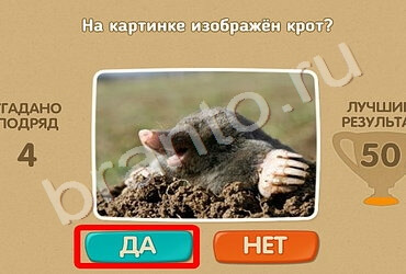 Проверь себя подсказки одноклассники Уровень 639