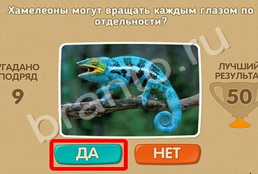 Проверь себя игра подсказки Уровень 644