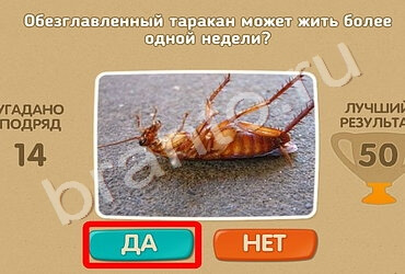 игра Проверь себя помощь Уровень 649