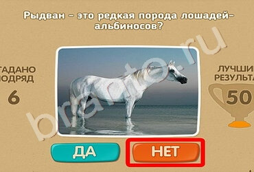 игра Проверь себя помощь Уровень 659