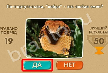 Проверь себя ответы в картинках Уровень 736