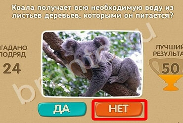 решебник на игру Проверь себя Уровень 741