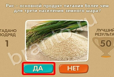 Проверь себя игра ответы Уровень 743