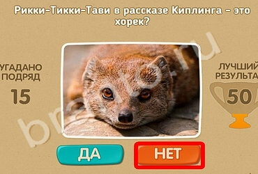 Проверь себя игра ответы в одноклассниках Уровень 757