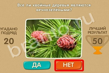 Игра Проверь себя ответы Уровень 827