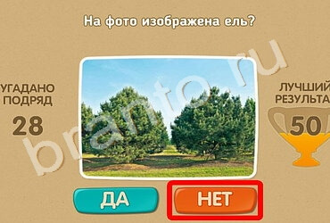 ответы на игру Проверь себя в одноклассниках Уровень 871