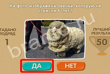Решения на игру Проверь себя Уровень 873
