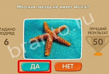 Проверь себя игра ответы Уровень 893