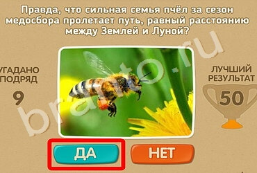 Проверь себя ответы в картинках Уровень 896