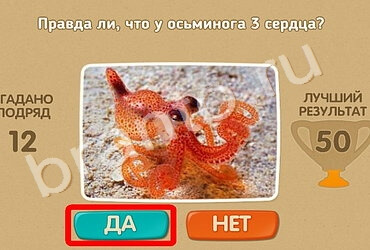 игра Проверь себя помощь Уровень 899
