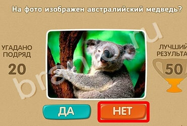 Проверь себя игра ответы в одноклассниках Уровень 907