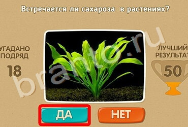 Проверь себя решения Уровень 942