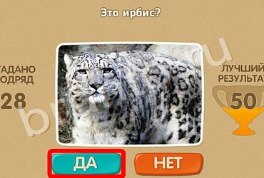 Проверь себя решения Уровень 952