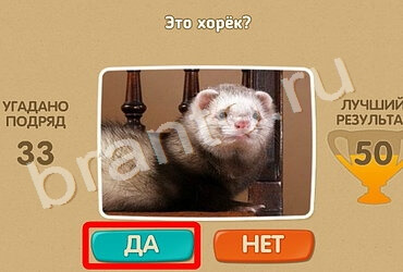 Игра Проверь себя ответы Уровень 957