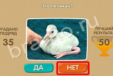 игра Проверь себя помощь Уровень 959